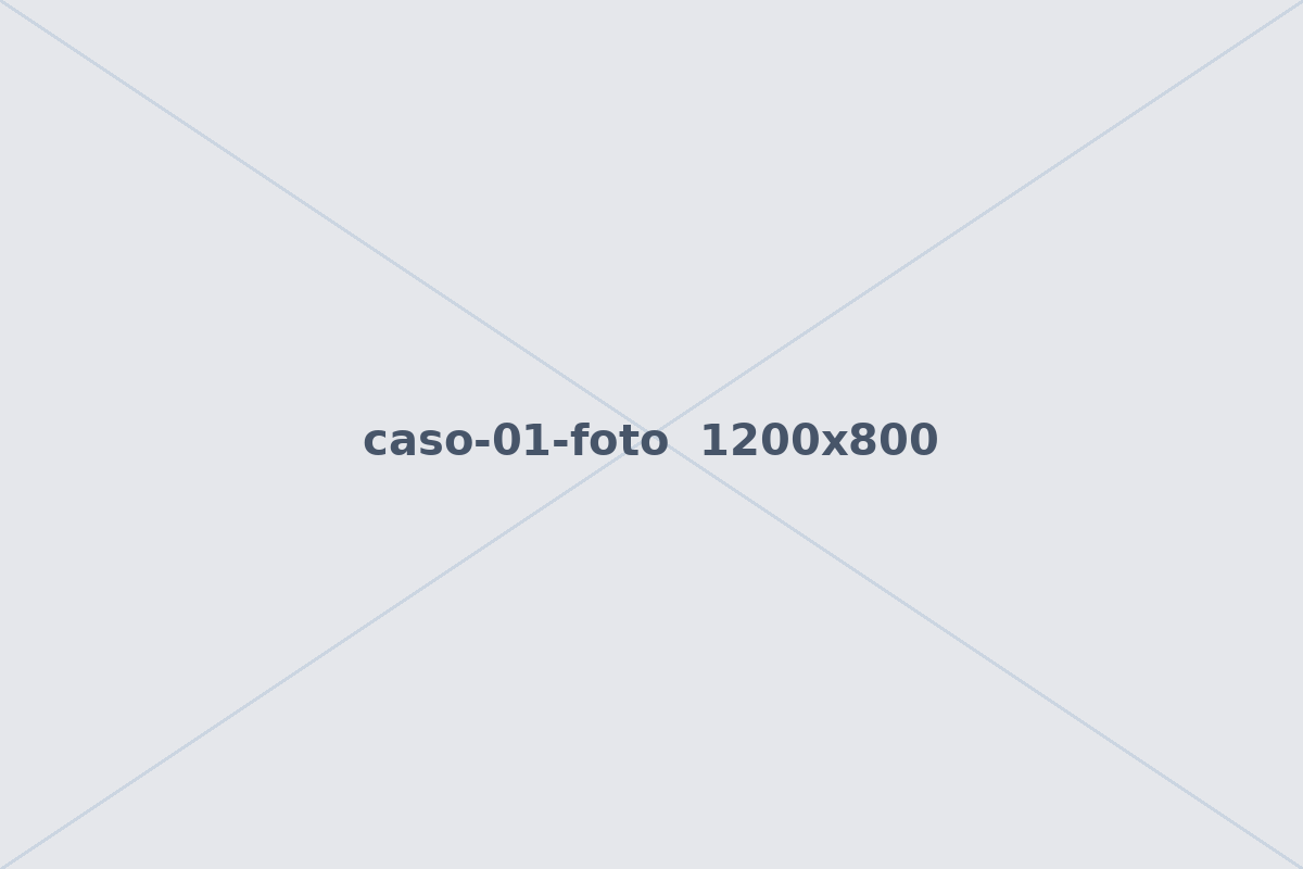[Caso 1: por definir]