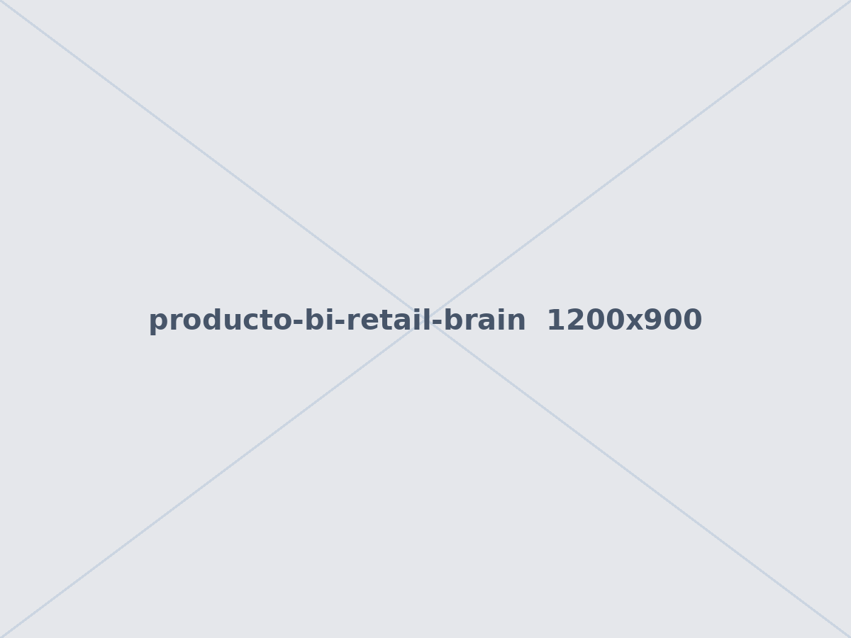 [Imagen de BI Retail Brain: por definir]